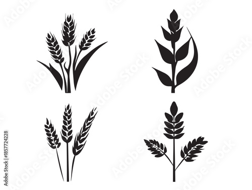 A lovely collection of four minimalist black barley silhouette illustrations