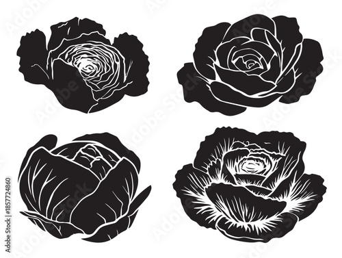 A lovely set of four solid black cabbage head silhouette vector icons