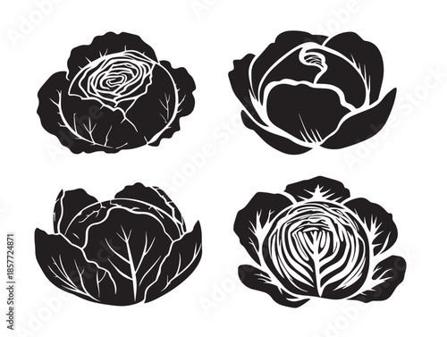 A beautiful collection of four detailed black cabbage plant silhouette illustrations