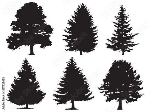 A simple and elegant set of four solid black cedar tree silhouette icons