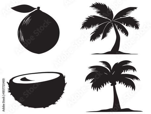 A gorgeous and tropical coconut silhouette collection for designs