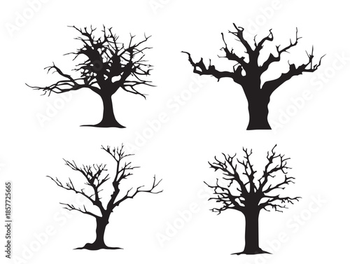 A stunning and atmospheric set of dead tree silhouette vectors