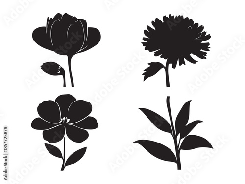 A simple and elegant flower silhouette set on a pure white background