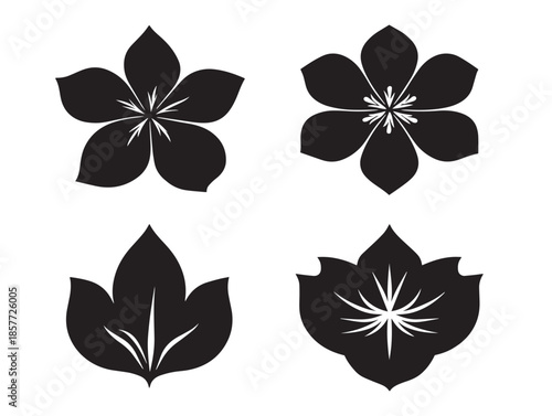 A stunning and delicate set of individual flower petal silhouette icons