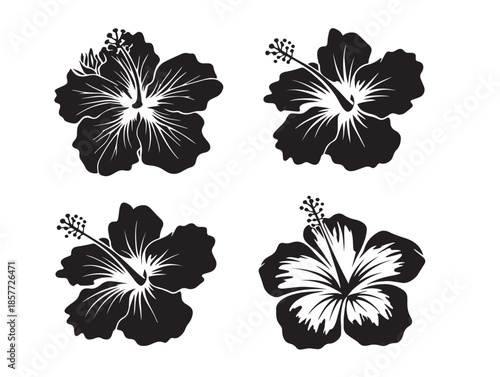 A lovely and exotic hibiscus bloom silhouette vector icon collection
