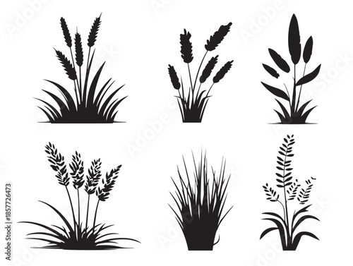 A gorgeous and detailed set of wild grass silhouette illustrations