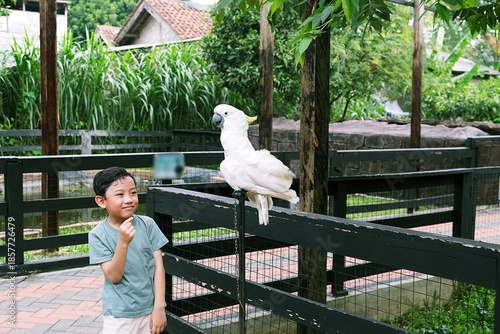 A young child observes a cockatoo in a natural park, learning respect for wildlife, sustainability, and harmony between humans and nature.