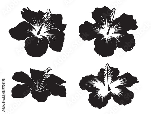 A gorgeous and detailed set of hibiscus flower silhouette illustrations