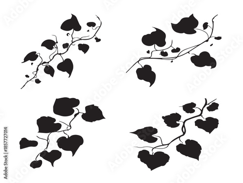A stunning set of four dynamic black curling ivy vine silhouette icons