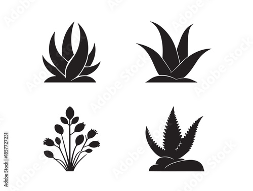 A beautiful collection of four solid black aloe vera silhouette vector icons