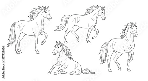 Set of elegant horse line art illustrations in various dynamic poses, including trotting, prancing, and sitting down gracefully.