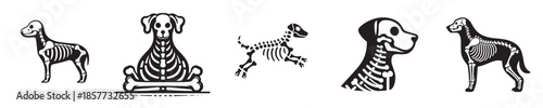 vector set of dog bone skeletons
