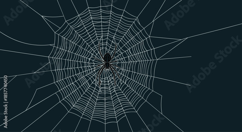 Black spider sitting in the center of a large intricate white web against a dark background representing nature and arachnid behavior.