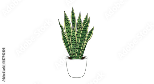 Potted snake plant with tall pointed green and yellow striped leaves in a simple white ceramic pot for home decor.