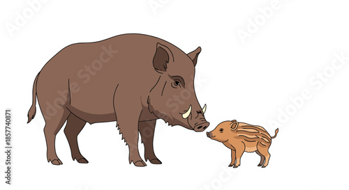 Large adult wild boar standing next to its small striped piglet on white background representing family and nature themes.