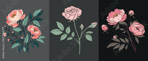 A collection of three beautiful vintage style floral illustrations featuring roses and peonies