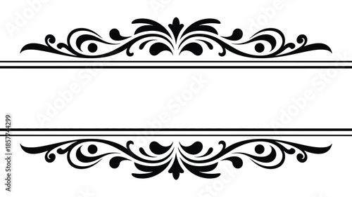 Sophisticated black scrollwork border with symmetrical floral details framing a clean white area