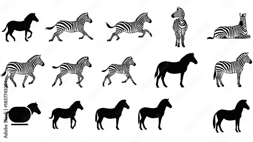 Obraz premium Zebra silhouettes collection