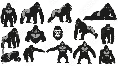 Illustrated gorilla poses collection