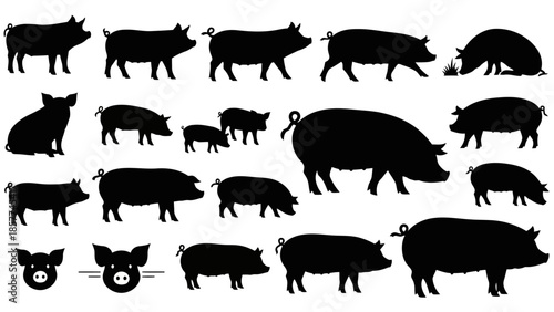 Black silhouette pigs collection