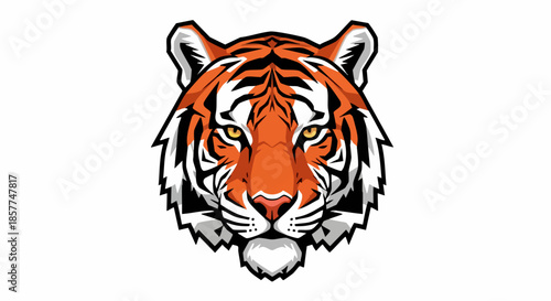Tiger Head Illustration Orange Black White.