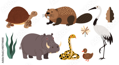 An adorable collection of cute cartoon wild animals, including a turtle, beaver, hippo, snake, duck, and a Japanese crane bird.