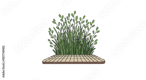 A simple illustration of a lush green bush or patch of grass growing from a small, tiled platform on a white background.