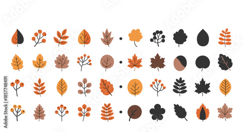 Large and diverse collection of autumn leaves and berries, featuring various shapes and colors for seasonal decorative design projects.
