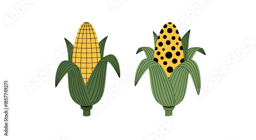 Simple and stylized cartoon illustration of two cobs of corn with green husks, one with a normal pattern and one with black dots.