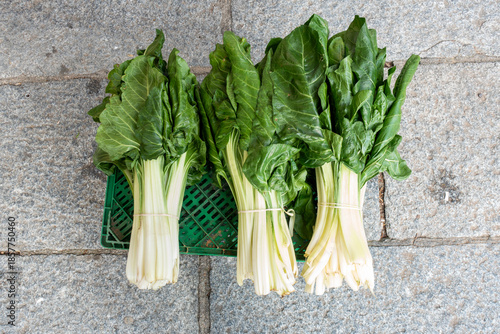 Bunch of organic chard, Spring vitamin set of various green leafy vegetables. Top view point.