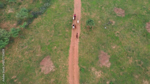 African horseback safari , African man and woman riding group of horse herd through the bush, trail riding in Botswana, Africa.