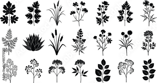 Botanical plant silhouettes collection, wild flowers leaves herbs icons, floral elements set isolated on white background vector illustration design pack