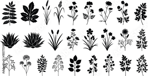 Botanical plant silhouettes set with leaves and wildflowers, floral elements collection isolated on white background for design projects commercial use
