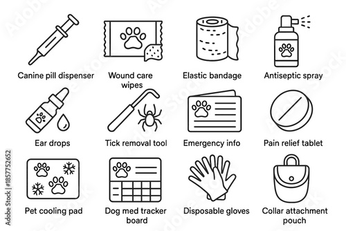 Board bottle pouch emergency attachment first aid icon med dispenser dog vector