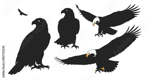 Set of eagle and bald eagle silhouettes in various poses, including standing, flying, and landing, on a white background.