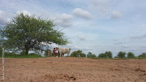African horseback safari , African man holding a group of horse herd trail , low angle, riding in Botswana, Africa.