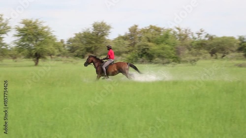 African horseback safari , African man riding a horse through a grassy field splashing water, trail riding in Botswana, Africa.