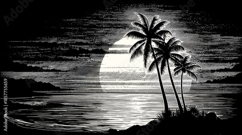 Black and white tropical night scene illustration with silhouetted palm trees, full moon over ocean waves, retro island landscape