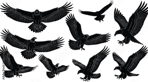 Majestic Eagle And Hawk Bird Silhouettes Collection, Powerful Wingspreads And Hunting Poses, Isolated Black Raptor Vector Illustration For Wildlife, Logo, And Design
