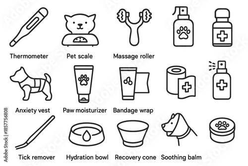 Icon hydration icons bandage wellness roller tick massage vector recovery pet paw