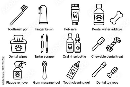 Finger pet toothbrush chewable care cleaning remover oral brush vector dental icon