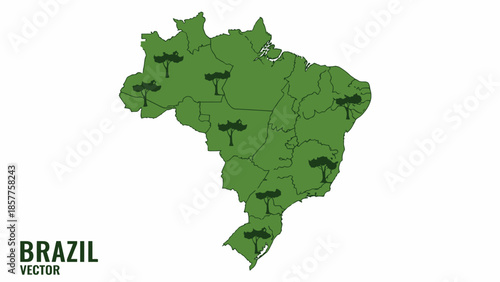 Visual representation of Brazil's vast ecological landscape featuring iconic tree silhouettes