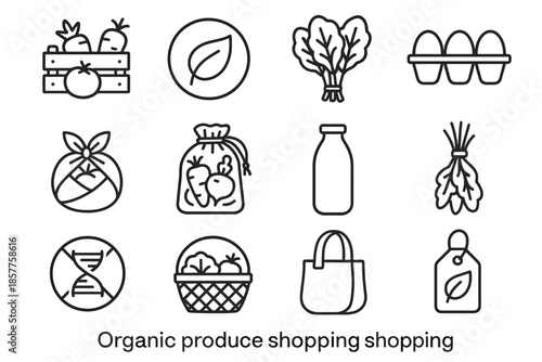 Vector cloth food set greens icon crate bunch leafy organic herb