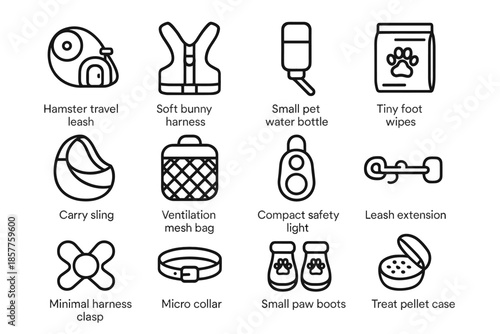 Soft small minimal light hamster vector walking extension leash pet icon sling