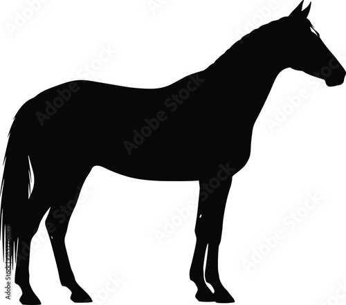 Isolated black vector silhouette of a standing horse side view on white, equestrian animal illustration for logo or symbol design.