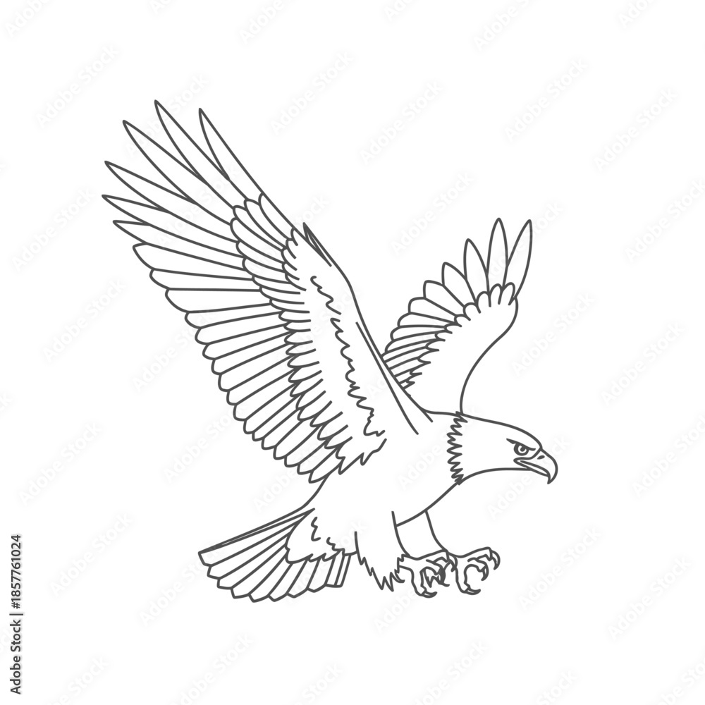 Obraz premium eagle vector illustration isolated