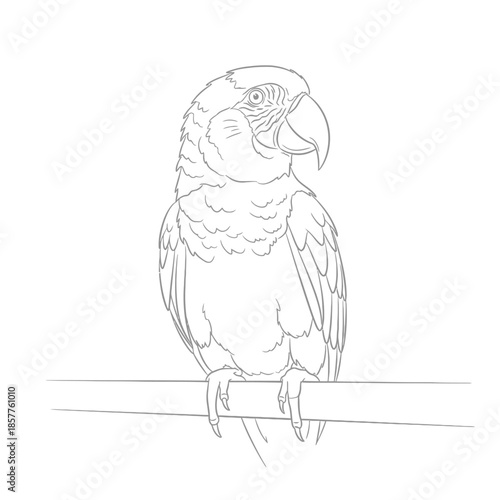 parrot on branch