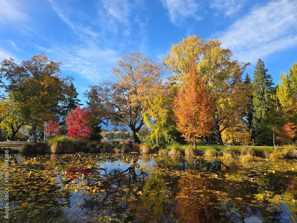 Obraz premium Autumn Pond with Colorful Trees