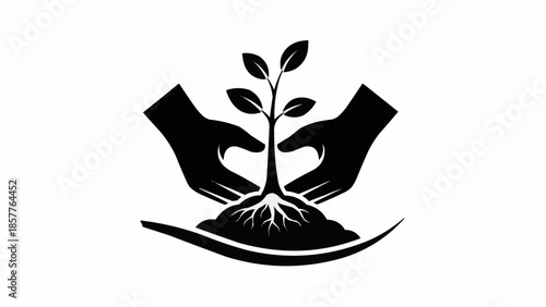 Hands nurturing a young plant symbolizing growth and care