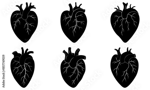 Five Black Heart Silhouettes with Arteries on White Background